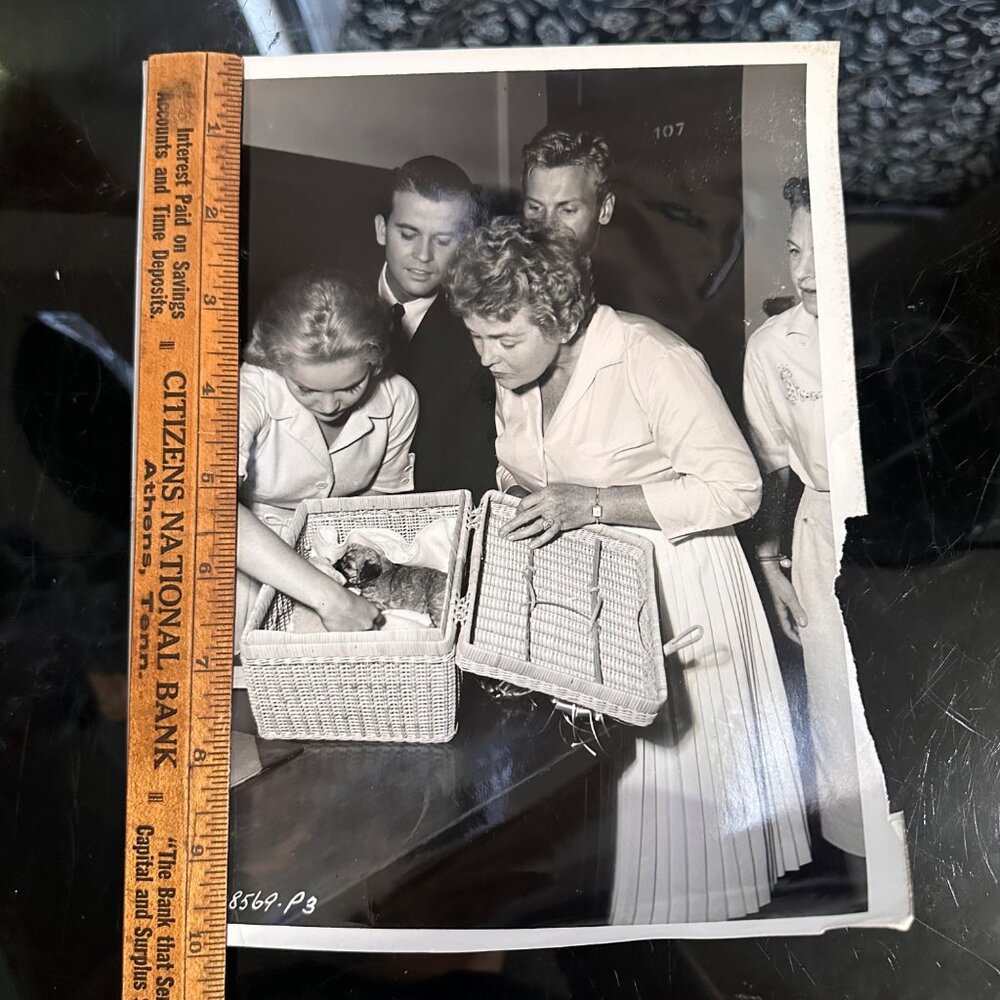 Vintage 1960 Hollywood Photo Of Tuesday Weld Dick Clark Tab Hunter & More With P - Picture 3 of 14
